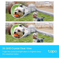 IP-камера TP-Link Tapo C420S1 - Превью изображения №3 — Интернет-магазин Time-Shop