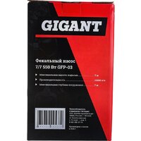 Фекальный насос Gigant GFP-3 - Превью изображения №10 — Интернет-магазин Time-Shop