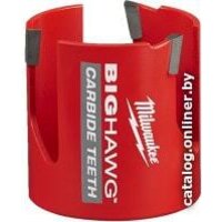 Milwaukee 4932464930