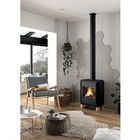 Свободностоящая печь-камин Invicta Carolo Zen 6162-49 - Превью изображения №2 — Интернет-магазин Time-Shop