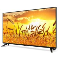 Телевизор Polarline 40PL11TC-SM (rev.2) - Превью изображения №2 — Интернет-магазин Time-Shop