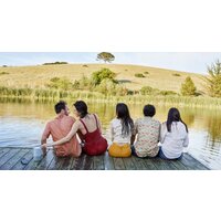 Умная колонка Bose Portable Home Speaker (серебристый) - Превью изображения №8 — Интернет-магазин Time-Shop