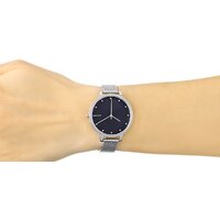 Наручные часы Skagen SKW2582 - Превью изображения №2 — Интернет-магазин Time-Shop