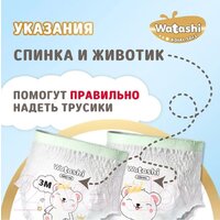 Трусики-подгузники Watashi Royal Soft 3 M 6-10 кг (136 шт) - Превью изображения №9 — Интернет-магазин Time-Shop