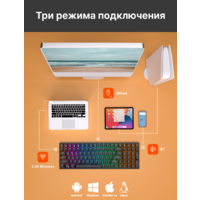 Клавиатура Royal Kludge RK100 RGB (черный, RK Red) - Превью изображения №8 — Интернет-магазин Time-Shop