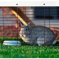 Клетка Ferplast Grand Lodge 140 57086360 - Превью изображения №10 — Интернет-магазин Time-Shop