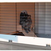 Клетка Ferplast Grand Lodge 140 57086360 - Превью изображения №7 — Интернет-магазин Time-Shop