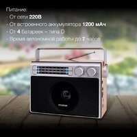 Радиоприемник Hyundai H-SRS105 - Превью изображения №3 — Интернет-магазин Time-Shop