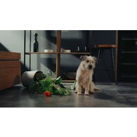 Пылесос Hisense HFC743169BKA - Превью изображения №16 — Интернет-магазин Time-Shop