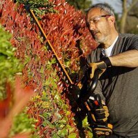 Кусторез Worx WG263E.9 (без АКБ) - Превью изображения №12 — Интернет-магазин Time-Shop