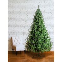 Ель GreenTerra Элоди 2.1 м - Превью изображения №4 — Интернет-магазин Time-Shop