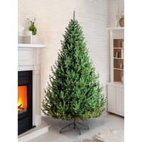 Ель GreenTerra Элоди 2.1 м - Превью изображения №3 — Интернет-магазин Time-Shop