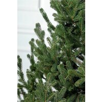 Ель GreenTerra Элоди 2.1 м - Превью изображения №8 — Интернет-магазин Time-Shop