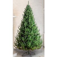 Новогодние елки