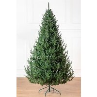 Ель GreenTerra Элоди 2.1 м - Превью изображения №2 — Интернет-магазин Time-Shop