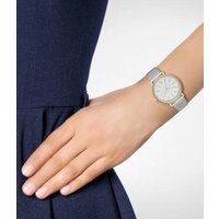 Наручные часы Skagen SKW2508 - Превью изображения №3 — Интернет-магазин Time-Shop