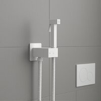Гигиенический душ Lauter Rainix 21LT7713MW - Превью изображения №4 — Интернет-магазин Time-Shop