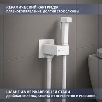 Гигиенический душ Lauter Rainix 21LT7713MW - Превью изображения №2 — Интернет-магазин Time-Shop