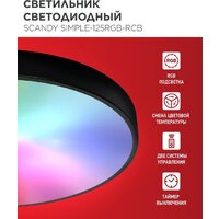 Припотолочная люстра In Home Scandy Simple-125RGB-RCB 4690612062273 - Превью изображения №4 — Интернет-магазин Time-Shop