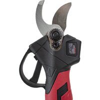 Секатор Edon APS-21CBL (с 1-им АКБ) - Превью изображения №6 — Интернет-магазин Time-Shop