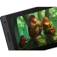 Графический монитор Huion Kamvas Pro 16 - Превью изображения №3 — Интернет-магазин Time-Shop