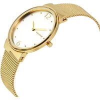 Наручные часы Skagen SKW2519 - Превью изображения №3 — Интернет-магазин Time-Shop