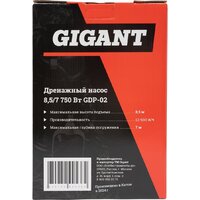 Дренажный насос Gigant GDP-02 - Превью изображения №17 — Интернет-магазин Time-Shop