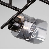 Припотолочная люстра Евросвет Hilari 30165/4 (Черный жемчуг) - Превью изображения №3 — Интернет-магазин Time-Shop