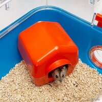 Клетка Ferplast Combi 2 57932599 - Превью изображения №4 — Интернет-магазин Time-Shop