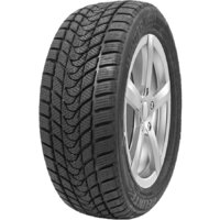Delinte Winter WD1 225/45R17 94T