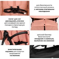 Коляска прогулочная «книга» Costa Vita VT-9 (пыльная роза) - Превью изображения №24 — Интернет-магазин Time-Shop