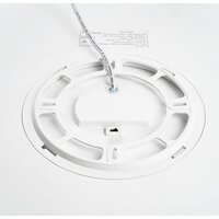 Припотолочная люстра Feron AL1600 48888 - Превью изображения №11 — Интернет-магазин Time-Shop