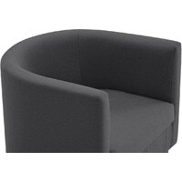 Интерьерное кресло Mio Tesoro Агата 351 (темно-серый 1173) - Превью изображения №11 — Интернет-магазин Time-Shop