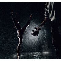 Стабилизатор Zhiyun Weebill 3S - Превью изображения №20 — Интернет-магазин Time-Shop