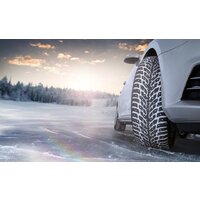 Зимние шины Nokian Tyres Hakkapeliitta 9 225/55R17 101T (шипы) - Превью изображения №3 — Интернет-магазин Time-Shop