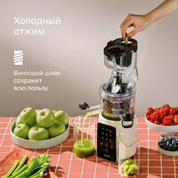 Соковыжималка Tuvio TJ05PD - Превью изображения №3 — Интернет-магазин Time-Shop