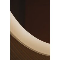  Silver Mirrors Зеркало Перла-ТХ D770 LED-00002696 - Превью изображения №11 — Интернет-магазин Time-Shop