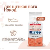 Сухой корм для собак Monge Speciality Line Mini Puppy and Junior Monoprotein с лососем и рисом 7.5 кг - Превью изображения №2 — Интернет-магазин Time-Shop