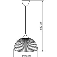Подвесная люстра TDM Electric SQ0313-0042 - Превью изображения №3 — Интернет-магазин Time-Shop
