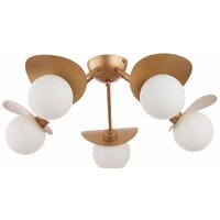 Припотолочная люстра Evoluce Bolzano SLE220502-05 - Превью изображения №4 — Интернет-магазин Time-Shop