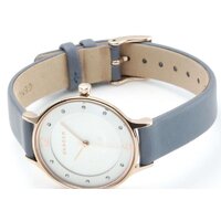 Наручные часы Skagen SKW2497 - Превью изображения №4 — Интернет-магазин Time-Shop