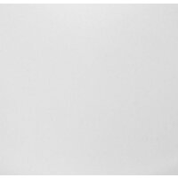 Кухонная мойка Wisent 510-28WR (с сифоном GER013) - Превью изображения №5 — Интернет-магазин Time-Shop