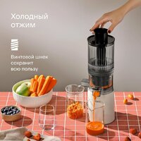 Соковыжималка Tuvio TJ04PM - Превью изображения №3 — Интернет-магазин Time-Shop
