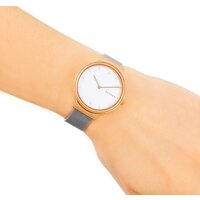 Наручные часы Skagen SKW2616 - Превью изображения №8 — Интернет-магазин Time-Shop