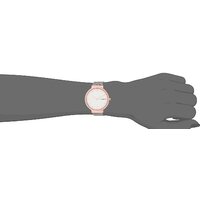 Наручные часы Skagen SKW2616 - Превью изображения №7 — Интернет-магазин Time-Shop