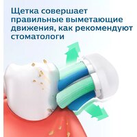 Электрическая зубная щетка Philips 1100 Series HX3641/11 - Превью изображения №12 — Интернет-магазин Time-Shop
