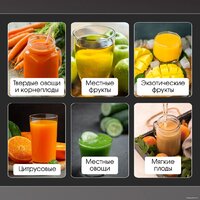 Соковыжималка Zigmund & Shtain EJ-756 - Превью изображения №7 — Интернет-магазин Time-Shop