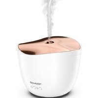 Увлажнитель воздуха Sharp DF-A1E-W - Превью изображения №2 — Интернет-магазин Time-Shop