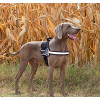 Шлея Ferplast Hercules P XL 75468517 (черный) - Превью изображения №2 — Интернет-магазин Time-Shop