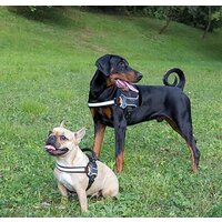 Шлея Ferplast Hercules P XL 75468517 (черный) - Превью изображения №3 — Интернет-магазин Time-Shop